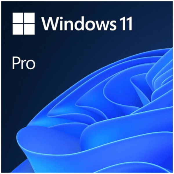 MS WINDOWS 11 PRO 64BIT TURKCE OEM FQC-10556 - 2