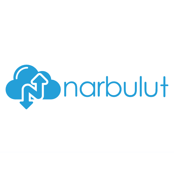 NARBULUT NB-BNPE-1Y100-010 BACKUP NOW 100GB PROFESSIONAL EDITION 10 KULLANICI 1 YIL - 2