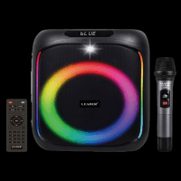 LEADER LP-6540 RADYOLU PORTATİF SES SİSTEMİ