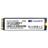 TWINMOS 256 GB NGFFEGBM2280 M.2 SATA 3.0 SSD