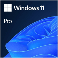 MS WINDOWS 11 PRO 64BIT TURKCE OEM FQC-10556
