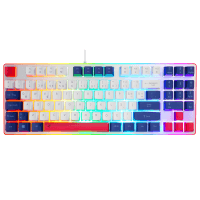 ACER EMACHINES EAK216 BEYAZ/MAVİ/KIRMIZI USB RAINBOW AYDINLATMALI Q STANDART TKL KLAVYE