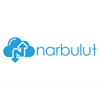 NARBULUT NB-BNPE-1Y100-010 BACKUP NOW 100GB PROFESSIONAL EDITION 10 KULLANICI 1 YIL