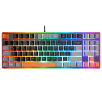 ACER EMACHINES EAK216 SİYAH/GRİ/TURUNCU USB RAINBOW AYDINLATMALI Q STANDART TKL KLAVYE