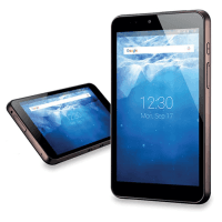 BLUEBIRD RT080 ANDROID 7 ANDROID 2.0 GHZ 6000 MAH 4GB RAM BT, WIFI, GSM, LTE 8”ENDÜSTRIYEL TABLET