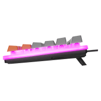 ACER EMACHINES EAK216 SİYAH/GRİ/TURUNCU USB RAINBOW AYDINLATMALI Q STANDART TKL KLAVYE - 4