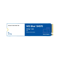 WD BLUE SN570 WDS100T3B0C 1TB 3500/3000MB/S NVME M.2 2280 SSD