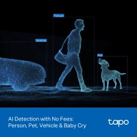 TP-LINK TAPO C246D İÇ MEKAN/DIŞ MEKAN ÇİFT LENSLİ PAN/TILT GÜVENLİK KAMERASI - 7